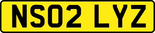 NS02LYZ