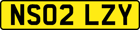 NS02LZY