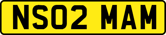 NS02MAM