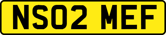 NS02MEF