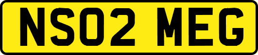 NS02MEG