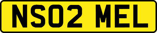 NS02MEL