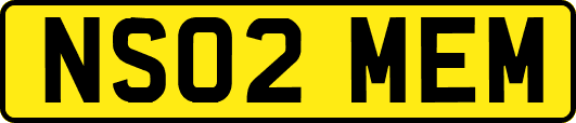 NS02MEM