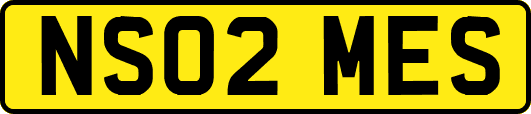 NS02MES