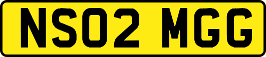 NS02MGG