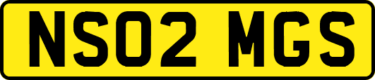 NS02MGS