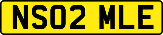 NS02MLE