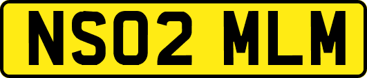 NS02MLM