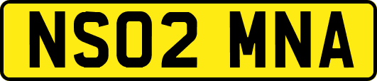 NS02MNA