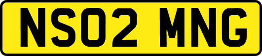 NS02MNG