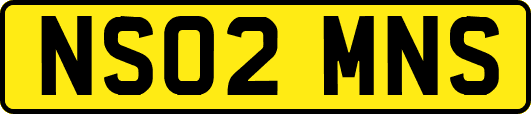 NS02MNS