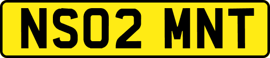 NS02MNT