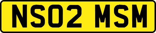 NS02MSM