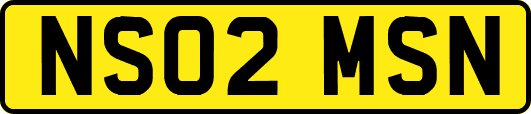 NS02MSN