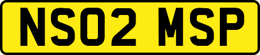 NS02MSP