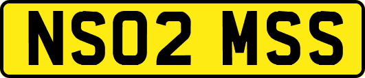 NS02MSS