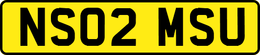 NS02MSU