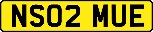 NS02MUE
