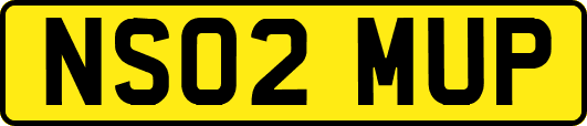 NS02MUP