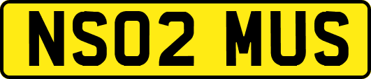 NS02MUS