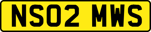 NS02MWS