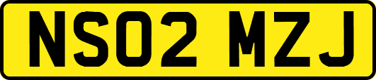 NS02MZJ