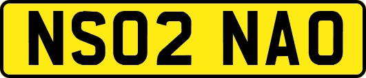 NS02NAO