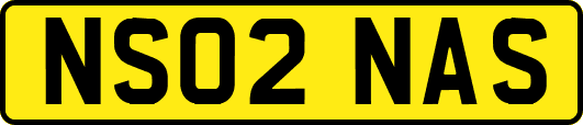 NS02NAS