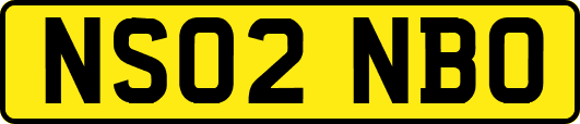 NS02NBO