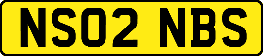 NS02NBS