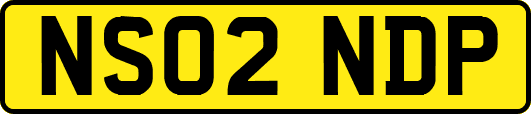 NS02NDP