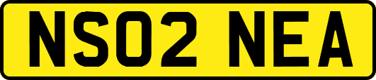 NS02NEA