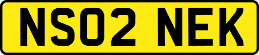 NS02NEK