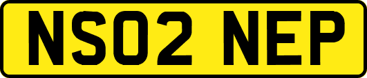 NS02NEP
