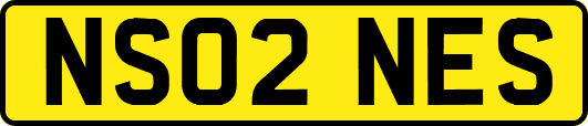 NS02NES