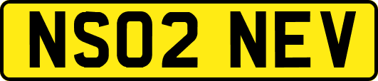 NS02NEV