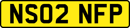 NS02NFP