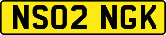 NS02NGK