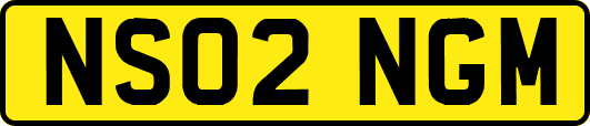 NS02NGM