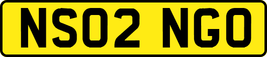NS02NGO