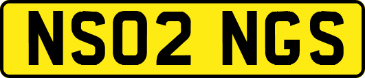 NS02NGS