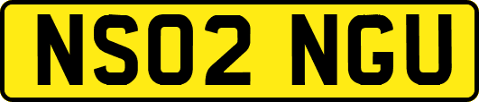 NS02NGU