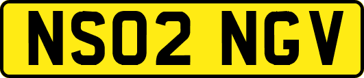 NS02NGV