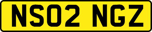 NS02NGZ