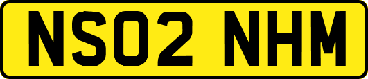 NS02NHM