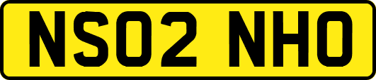 NS02NHO