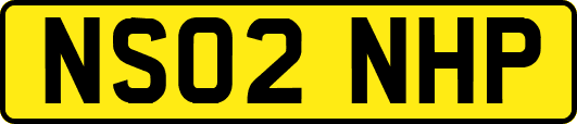 NS02NHP
