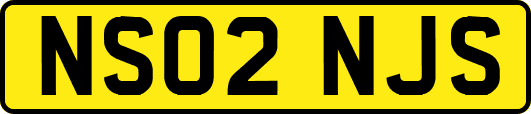 NS02NJS