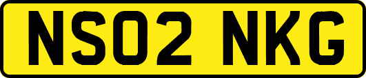NS02NKG