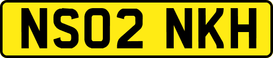 NS02NKH